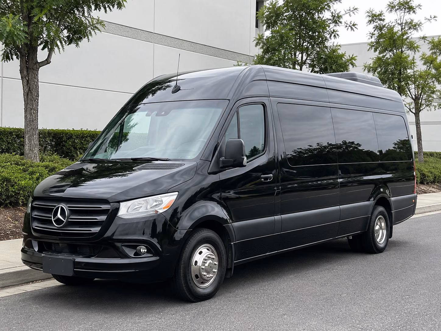 missoula sprinter van with driver